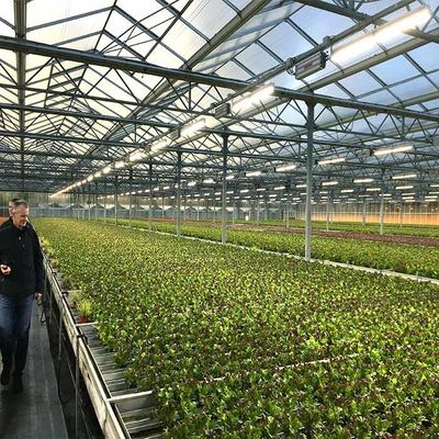 سعر جيد مقاومة التآكل الزراعة الطاقة الشمسية الدفيئة 2.0 مم 2.5 مم سمك الانترنت