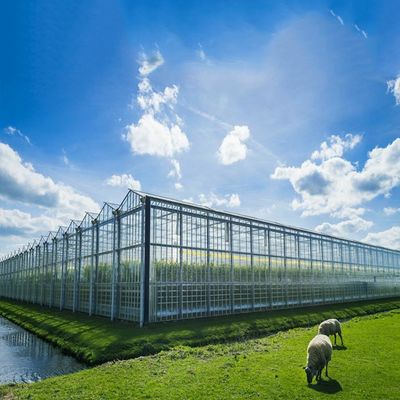 سعر جيد متعدد الأغراض 500KW BIPV نظام الطاقة الشمسية الدفيئة الانترنت