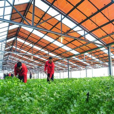 سعر جيد إطار من الصلب المجلفن الساخن ، هيكل دعم وحدة غشاء رقيق للدفيئات الضوئية الانترنت