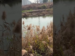 مضخة مياه البئر العميقة الغائمة 3 بوصة DC مع MPPT المتحكم